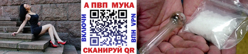 Цена Кадников МЕГА как войти  Альфа ПВП  Псилоцибиновые грибы  Гашиш  МАРИХУАНА  КОКАИН  НБОМе 