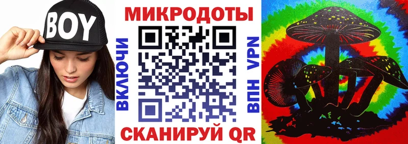 Псилоцибиновые грибы Psilocybe  Кадников 